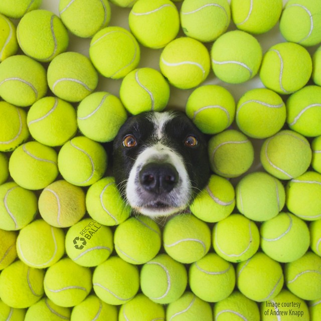 100 Used Tennis Balls